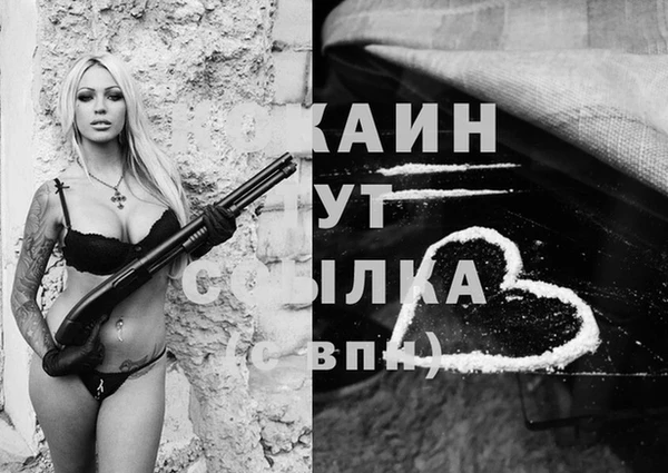 гидра Краснослободск