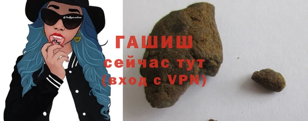 гидра Краснослободск