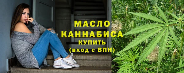 гидра Краснослободск