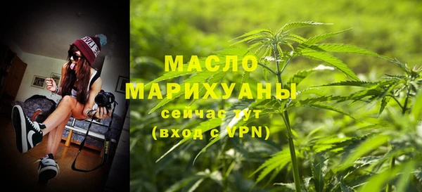 гидра Краснослободск