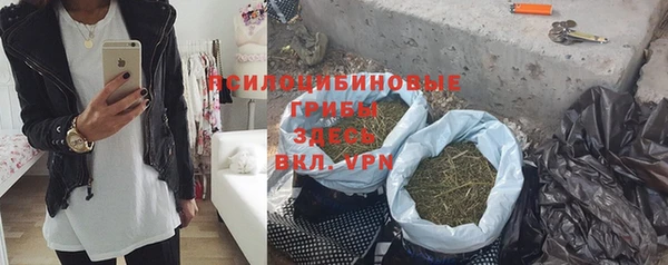 гидра Краснослободск