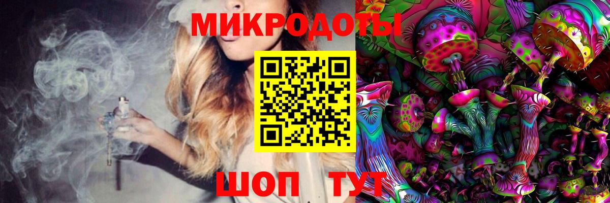 Галлюциногенные грибы Psilocybe Тейково